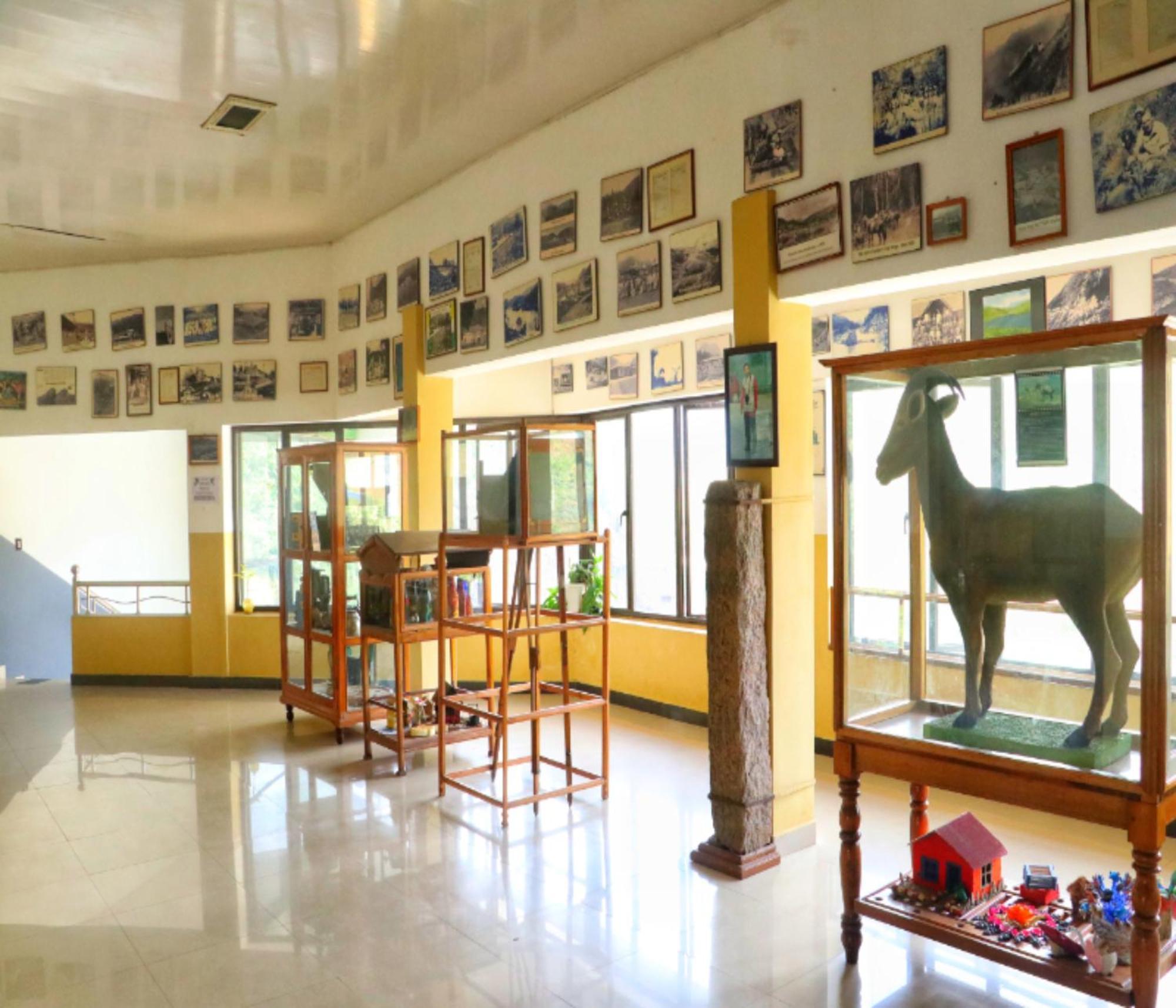 Ac Mist Otel Munnar Dış mekan fotoğraf